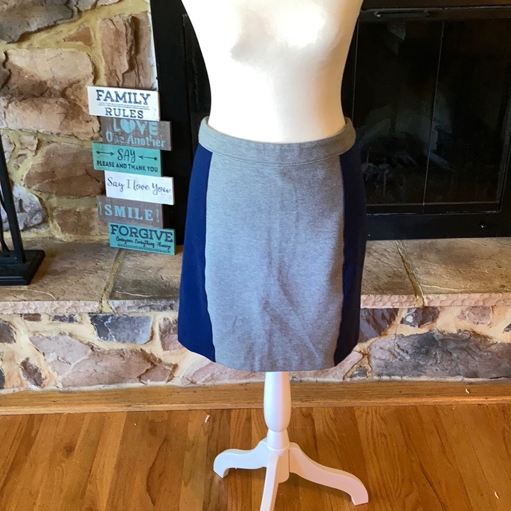 Club Monaco skirt